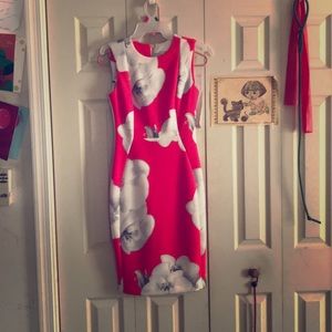 Pink and White Calvin Klein Dress
